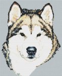 Alaskan Malamute (image for) Alaskan Malamute